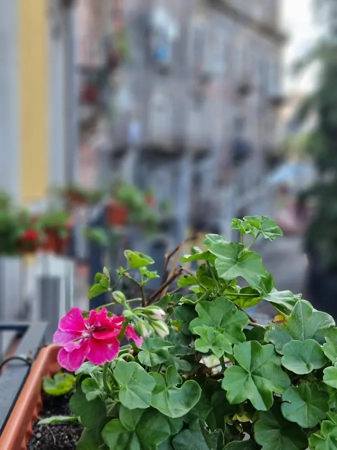 Frühstückspension Casa Tua Suites Catania Italien